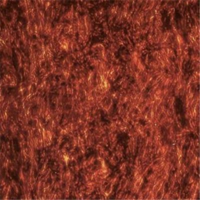 PLAQUE PICKGUARD 45x29cm TORTOISE 4 PLIS