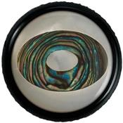 1 BOUTON DOME ROUND WARWICK NOIR ELLIPSE