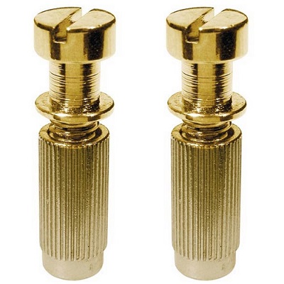 PAIRE DE RIVETS POUR CORDIER DORE METRIQUE PROFOND