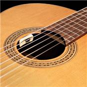 MICRO ACOUSTIQUE L.R.BAGGS ANTHEM SL CORDES NYLON