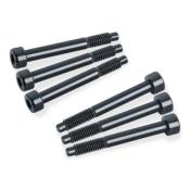 6 VIS DE PONTET VIBRATO COURTES FLOYD ROSE ORIGINAL LOCKMEISTER