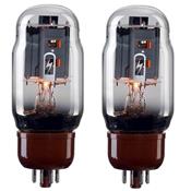 PAIRE DE LAMPES DE PUISSANCE TAD KT66 (RT822)