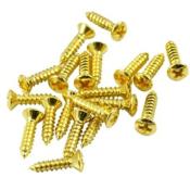 10 VIS PICKGUARD ET AUTRE DOREES WD MUSIC