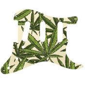 PICKGUARD STRAT SSS STANDARD FEUILLES DE CHANVRE GRAPHIC WD