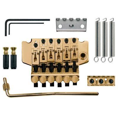 FLOYD ROSE COMPLET SINGLE LOCK PLAQUE OR TFR-205-G