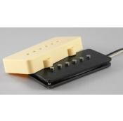 SET 2 MICROS HEPCAT JAZZMASTER 58