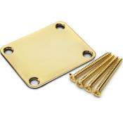 SET GOTOH PLAQUE DE FIXATION CORPS/MANCHE MODELE DOREE + VIS