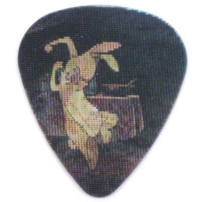 1 MEDIATOR HOT PICKS HOLOGRAMME WINNIE L'OURSON LAPIN