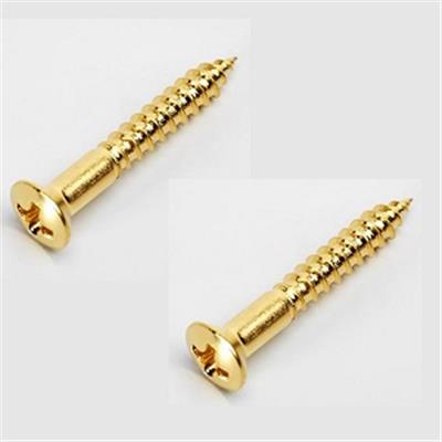 TWO END PINS GOLD SCREWS