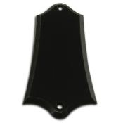 CACHE-VIS TRUSS ROD NOIR WD MUSIC + VIS