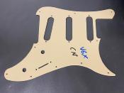 PICKGUARD VIGIER EXPERT BLANC CREAM