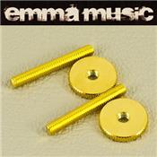 PAIRE D'INSERTS CHEVALET TYPE TUNOMATIC GOTOH DORES