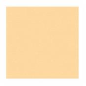 PLAQUE PICKGUARD 45x29cm CREME 1 PLI