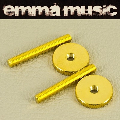 PAIRE D'INSERTS CHEVALET TYPE TUNOMATIC GOTOH DORES