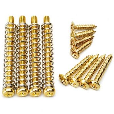 PACK VIS + RESSORTS DOREES 2 MICROS HUMBUCKER 2.4mm