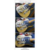 VIBRAMATE V5-TEV-2-S BIGSBY B5 CHEVALET TELE VINTAGE