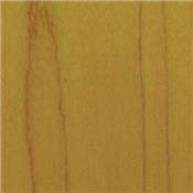 VERNIS BRILLANT NITRO DARTFORDS MANCHE FENDER HONEY Spray 400ml