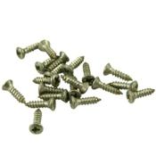 20 VIS PHILLIPS TYPE GIBSON ACIER INOXYDABLE 10x2.5mm