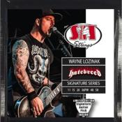 CORDES ELECTRIQUE SIT WAYNE LOZINAK HATEBREED 11-58