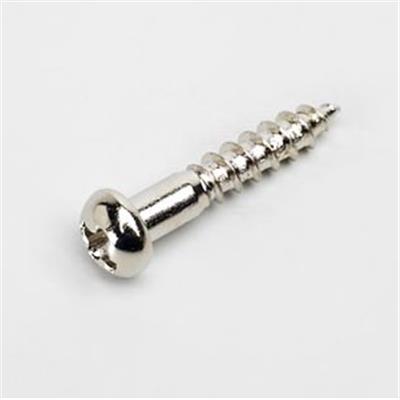 20 VIS MECANIQUES ou CACHE-VIS NICKEL 14x2,4 #2