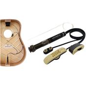 MICRO ACOUSTIQUE L.R.BAGGS ANTHEM SL CORDES NYLON