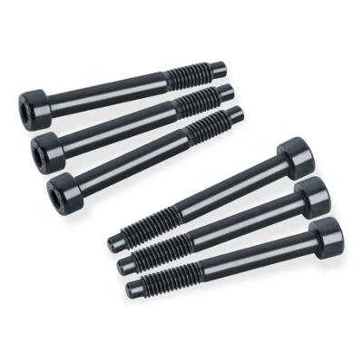 6 VIS DE PONTET VIBRATO COURTES FLOYD ROSE ORIGINAL LOCKMEISTER