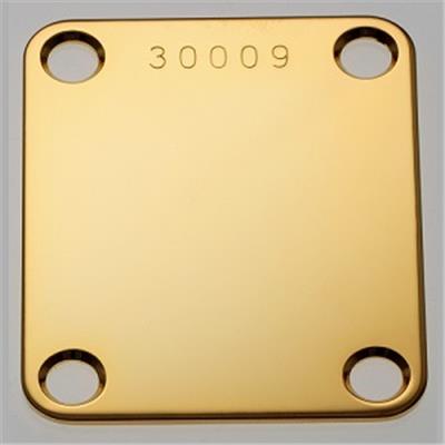 PLAQUE DE FIXATION CORPS/MANCHE MODELE DOREE + NUMERO DE SERIE