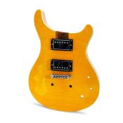 TEINTURE LIQUIDE A BASE D'EAU YELLOW SANTANA (250ml)