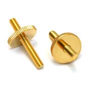 PAIRE D'INSERTS CHEVALET TYPE TUNOMATIC GOTOH DORES