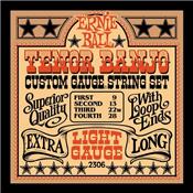 CORDES ERNIE BALL 2306 POUR BANJO TENOR 009-028