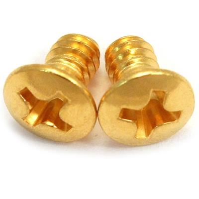 2 VIS DOREES SELECTEUR MICROS METRIQUE TETE OVALE