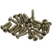 24 VIS PICKGUARD ET AUTRE NICKEL FENDER AGEE ROAD WORN