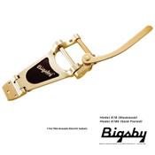 BIGSBY B70 DORE GUITARES ARCHTOP
