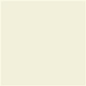 PLAQUE PICKGUARD 25x40 PARCHMENT FIN 1 PLI