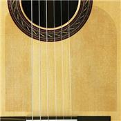 GOLPEADOR OASIS TRANSPARENT ELECTRO STATIQUE