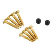 LOT DE VIS DOREES BIGSBY