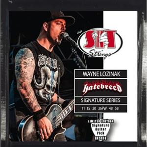 CORDES ELECTRIQUE SIT WAYNE LOZINAK HATEBREED 11-58