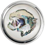 1 BOUTON DOME ROUND WARWICK CHROME TIGER