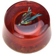1 BOUTON LOUPE METRIQUE AMBRE AVEC MOTIF OISEAU ABALONE