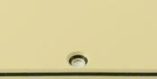 PICKGUARD TELE CREME 3 PLIS H HUMBUCKER WD