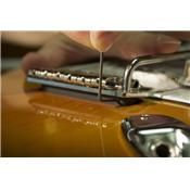 VIBRATO STRAT WILKINSON GOTOH VSVG NICKEL