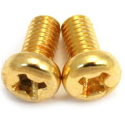 2 VIS DOREES SELECTEUR MICROS METRIQUE TETE RONDE