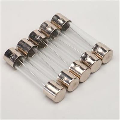 5 FUSIBLES AMPLI SLO-BLO FUSES 4A