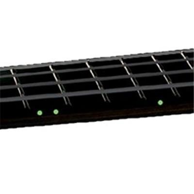 1 DOT WARWICK PHOSPHORESCENT 5mm