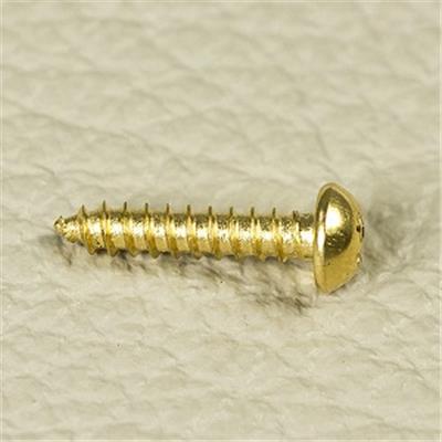 10 VIS DOREES POUR MECANIQUES GUITARE OU CACHE VIS 2.1x12mm