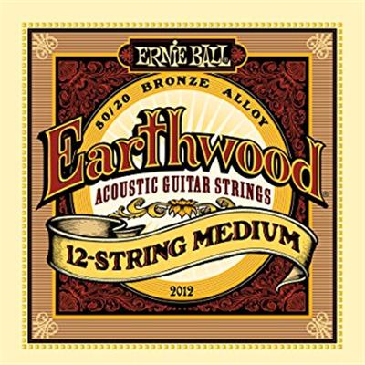 CORDES ACOUSTIQUE 12 CORDES ERNIE BALL 2012 EARTHWOOD MEDIUM