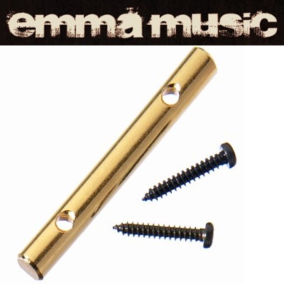 GUIDE CORDES FLOYD ROSE ORIGINAL DORE