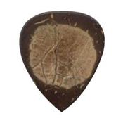 1 MEDIATOR CLAYTON NOIX DE COCO