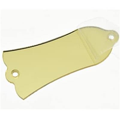 CACHE TRUSS ROD STYLE GIBSON MIROIR DORE + VIS