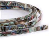 1 FILET FAUX ABALONE 6x1650x1.5mm